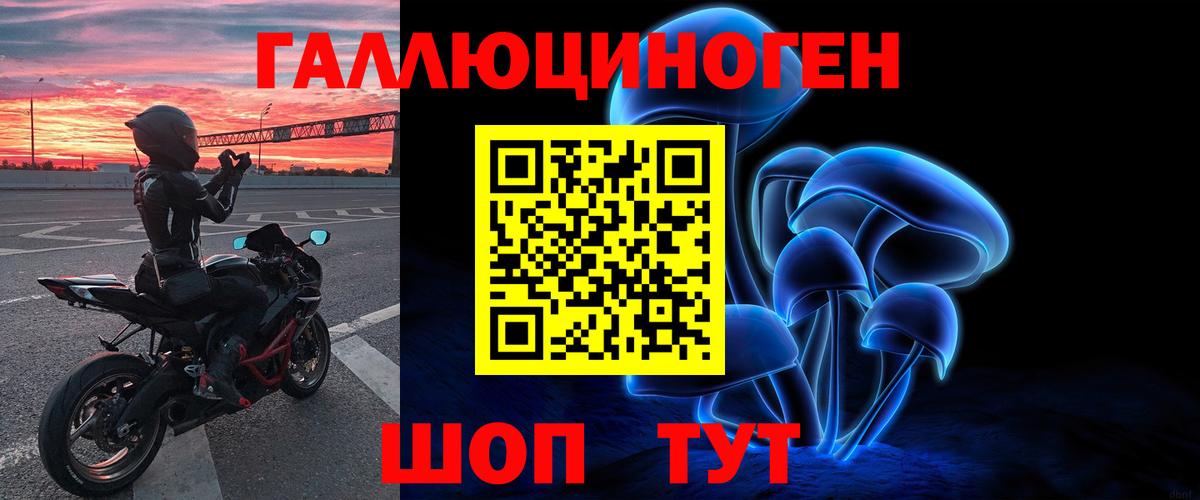 Псилоцибиновые грибы Psilocybe Гуково