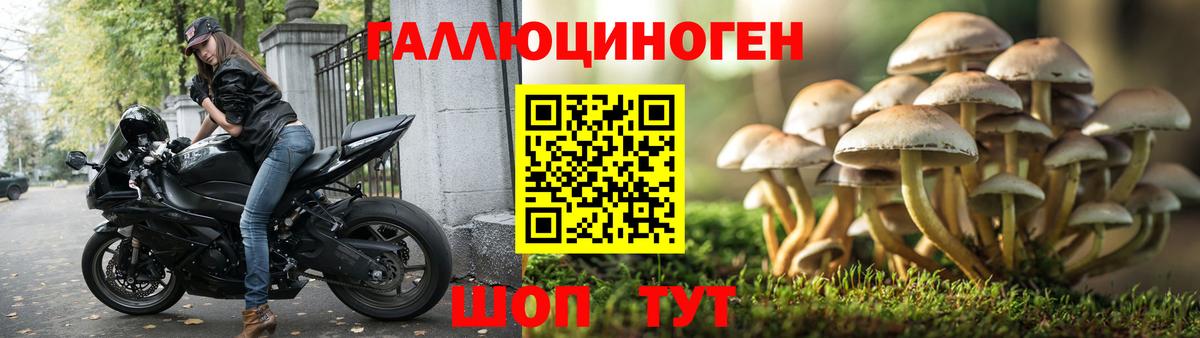 Псилоцибиновые грибы прущие грибы  купить наркоту  Гуково  Вход с VPN 